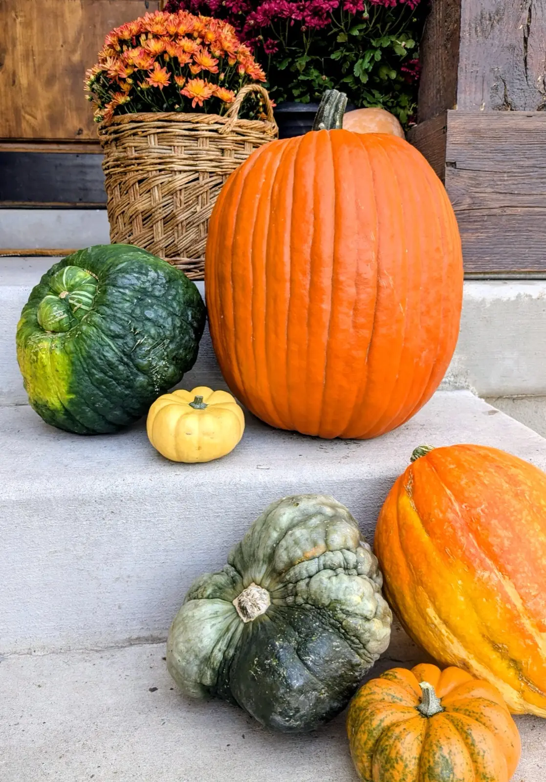 Heirloom pumpkins and squash on porch steps