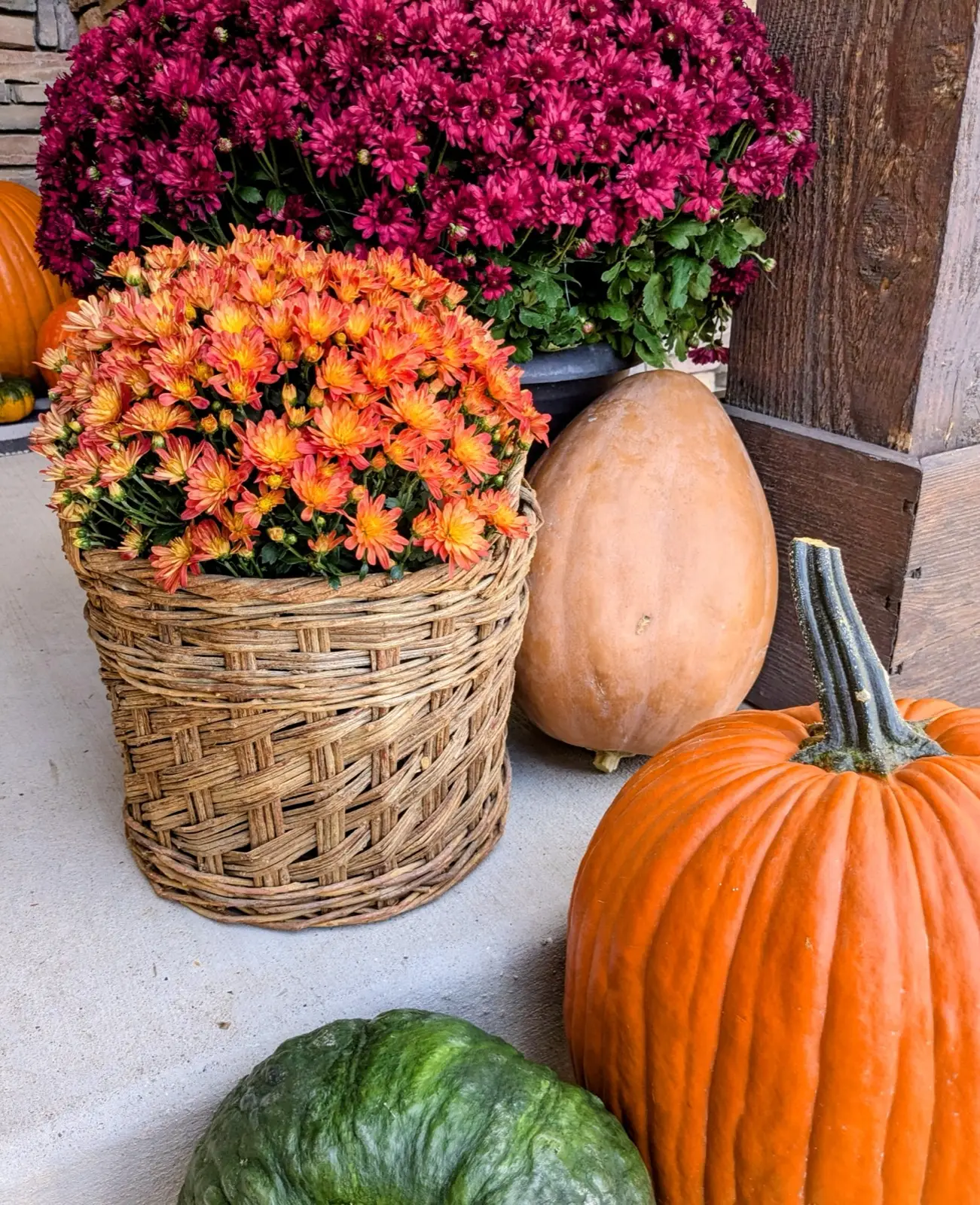 Coral mums in a woven basket with a tan heirloom pumpkin and orange carving pumpkin