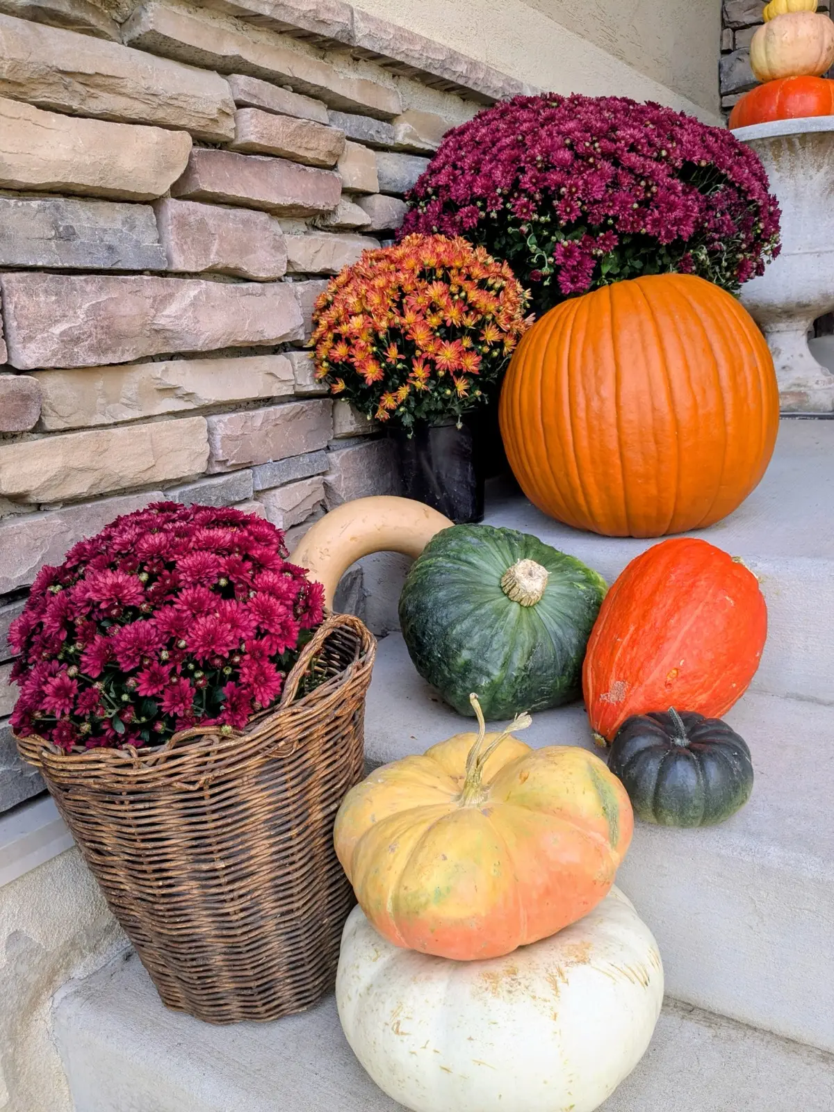 Porch steps styled with burgundy mums in a wicker basket and a mix of heirloom pumpkins