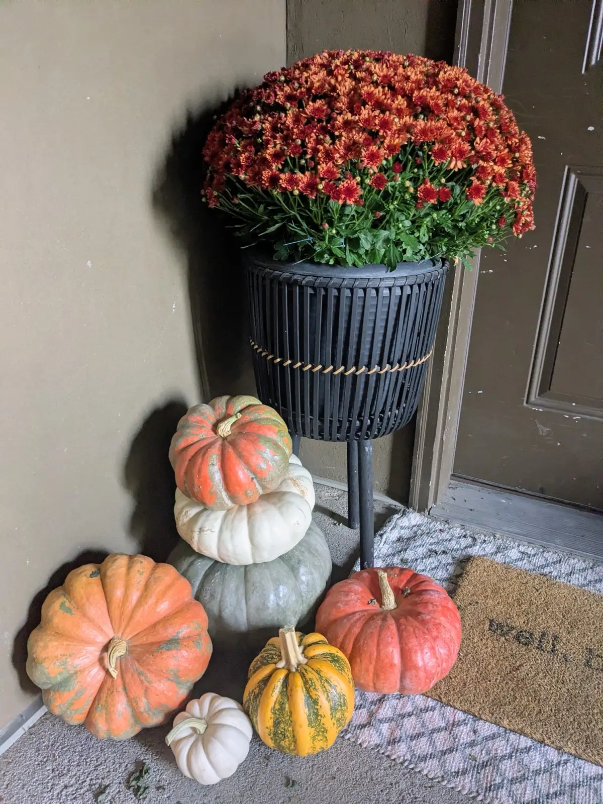Stacked white, sage, and orange heirloom pumpkins beside a potted mum